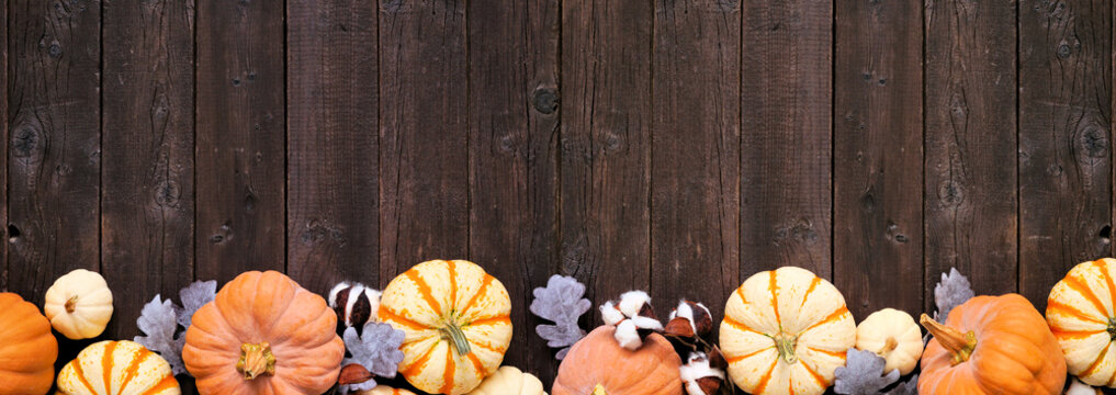 Autumn bottom border of pumpkins, leaves and natural decor over a rustic dark wood banner background. Top down view with copy space.