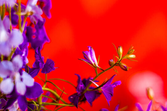 Modern abstract gradient backgrounds