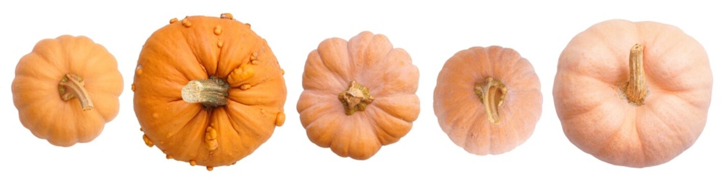 Variety of autumn pumpkins, above view isolated on a white background. Assorted shapes and shades of orange.