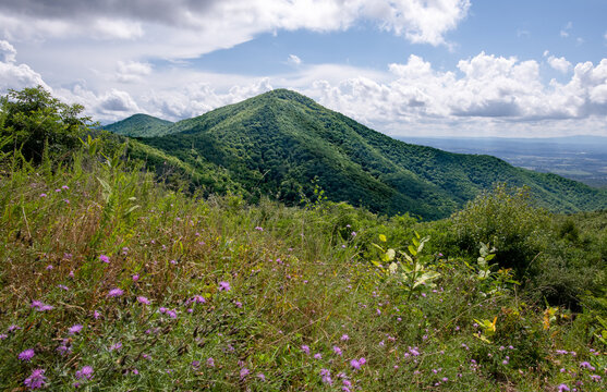 Turk Mountain from overlook on Skyline Drive in Shenandoah National Park in early August.