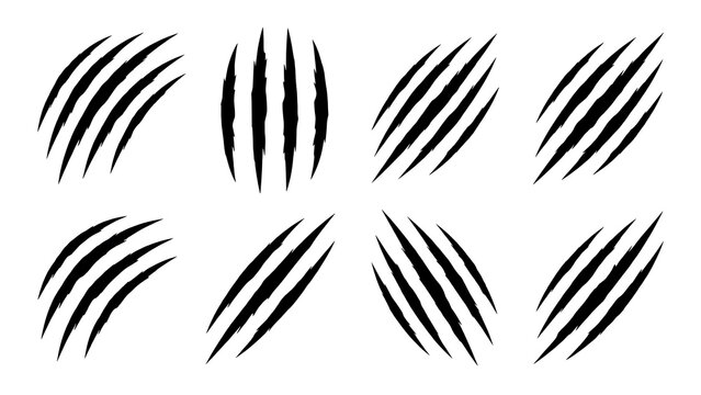 A collection of black claw marks and scratch silhouettes isolated on a white background perfect for scary halloween designs and horror projects