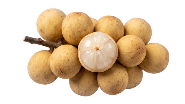 Fresh Langsat Duku Longkong Fruit Bunch with Peeled Fruit Isolated on Transparent Background