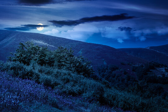 carpathian mountain landscape. travel ukraine in summer. slopes mountain ridge in august at night. wonderful carpathian adventure in full moon light
