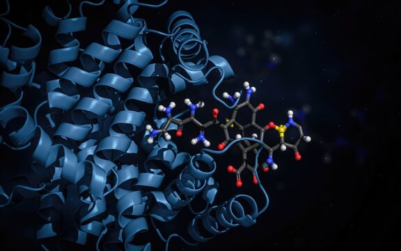 3 d molecular model of protein structure and ligand binding site