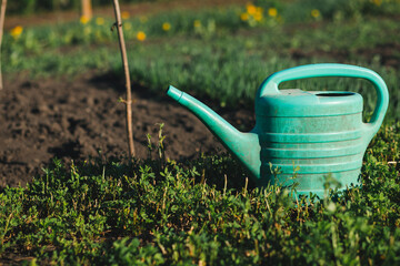 Green plastic watering can stands on grass in vegetable garden bed. Organic farming and plant care concept in bright sunlight. © Tetiana