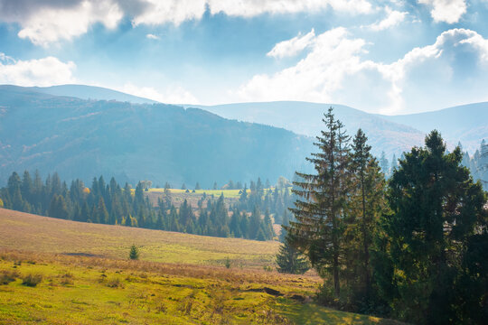 countryside mountain landscape in autumn. weathered grassy field on a hill near forest. rural outdoor adventure background. alpine highland of ukraine on a sunny afternoon