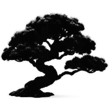 Black and white bonsai tree illustration illustration