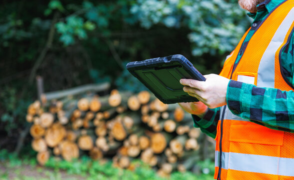 Close-up of forestry engineer using digital tablet with wood logs pile in blurred background. Forest inspector wearing an orange high-visibility vest operating a tablet PC. Stacked timber logs. 