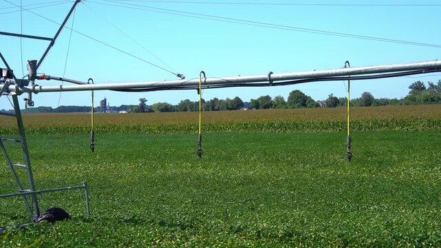 Center pivot irrigation system in a green soybean field on a sunny day