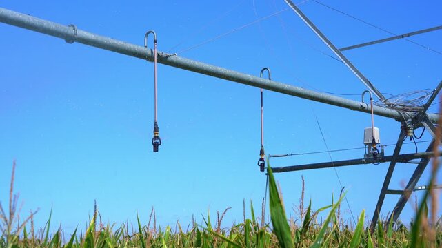 Center pivot irrigation system watering a corn field on a sunny day