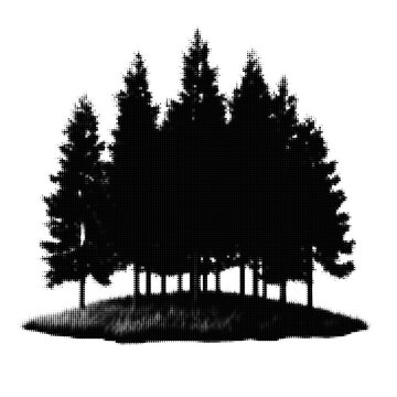 Silhouette of forest trees with starry night sky illustration