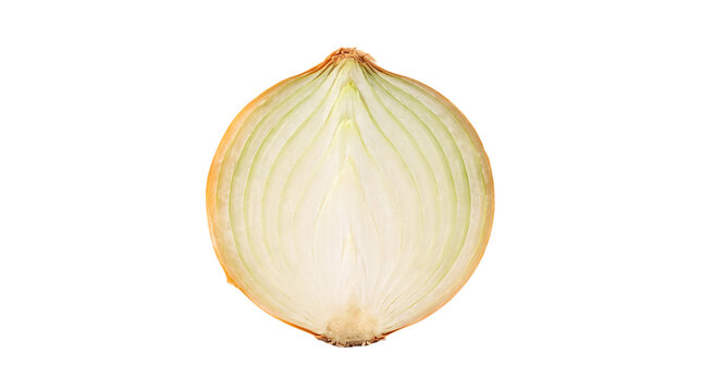 Fresh halved yellow onion cutout showing translucent layers and root detail, isolated on transparent background for cooking and food design use