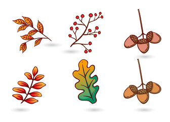 Vibrant autumn leaves and acorns illustration set on transparent background © Sowaiba Creative