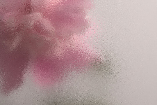 Smoke selected soft focus cream beige pink Peony Flower through glass with wet water Drops. Abstract natural blur background.