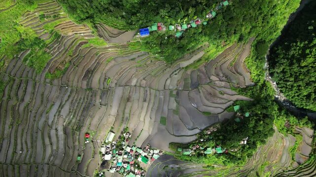 Aerial top view of picturesque Batad Rice Terraces in Ifugao Province, Luzon Island, Philippines, 4k