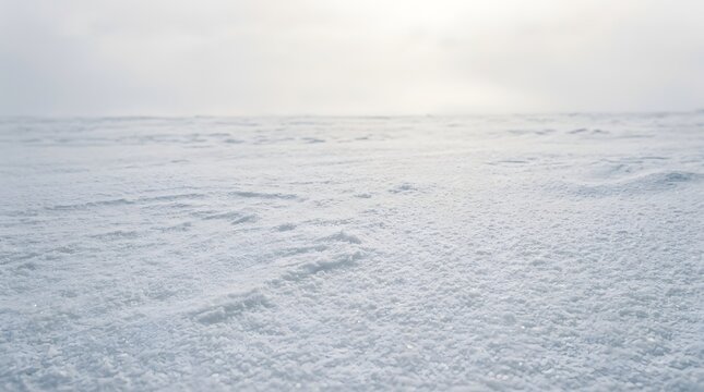 Happy holidays serene winter snowscape with fresh powder and a soft blurred horizon