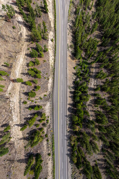 Aerial View of Highway Through Conifer Forest Landscape in British Columbia, Canada
