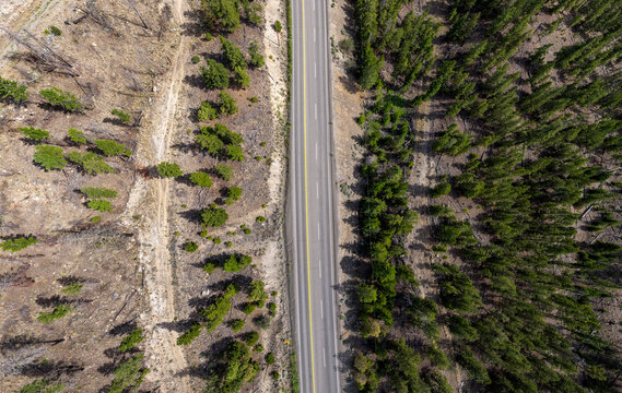 Aerial View of Two-Lane Highway Cutting Through Pine Forest in British Columbia, Canada