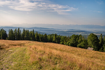 Polana © piotrwolak
