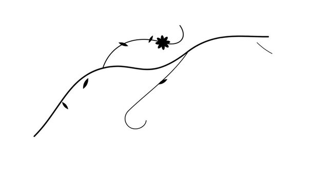 Elegant black and white floral vine line art illustration
