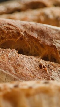 Bread assortment, mixed Spanish baguette loaves from Barcelona bakery, close-up macro shot showing crumb texture