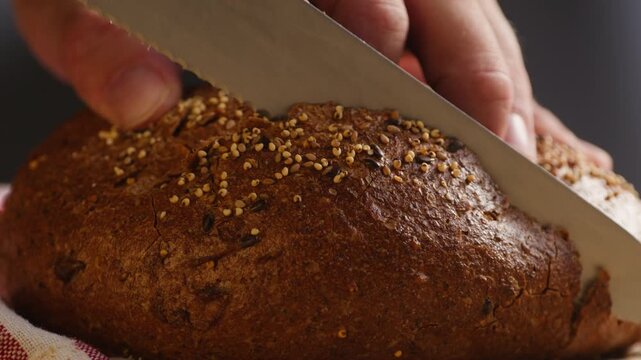 Bread multigrain loaf held in hands, whole wheat seeded crust with millet and seeds, close-up macro shot