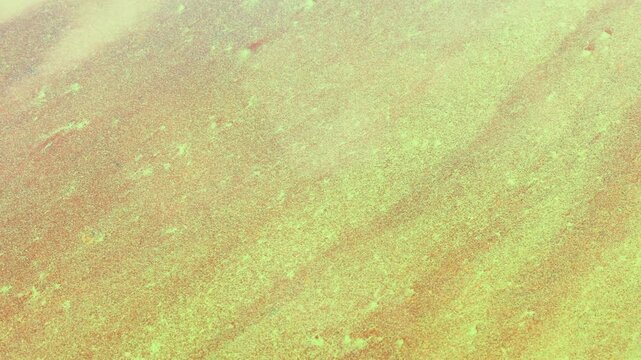 Green algae floating on water surface forming natural aquatic texture