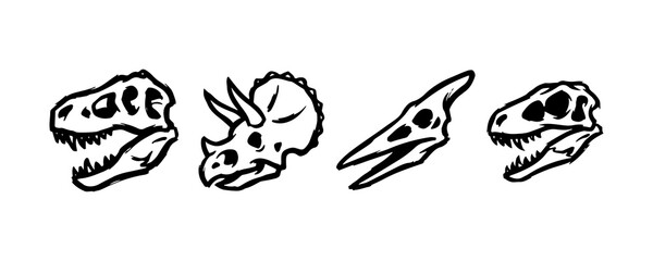 Black and white illustration of four different dinosaur skull sketches in a row © graphicaestyn