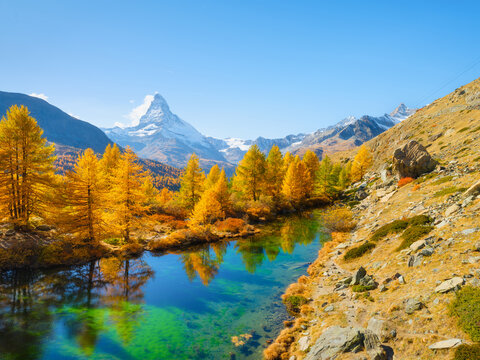 Matterhorn mountain in Switzerland reflects in a calm alpine lake. Scenic mountain landscape with colorful autumn trees under a clear sky in daytime.