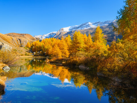 Mountain landscape with a calm lake reflecting autumn trees with colorful fall foliage. Clear daytime view of water reflection, forest, and mountain peaks.
