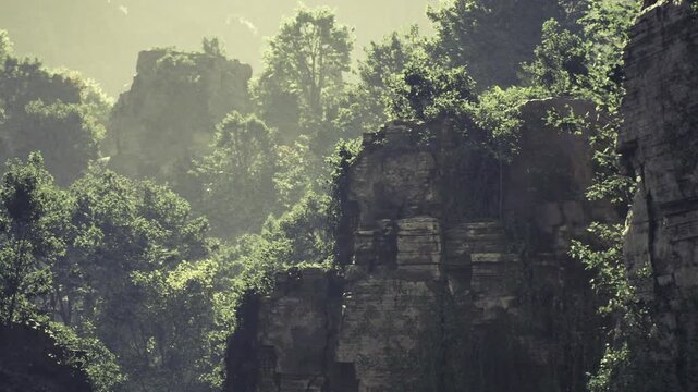 Twilight grove nestled within sandstone canyon, dusk shadows and layered strata reveal warm tones and quiet atmosphere, textured rock faces framing small canopy