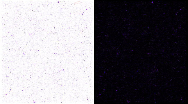 Minimalist split screen texture, white and black grainy paper background, dual tone abstract surface for graphic design