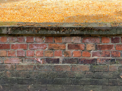 old brick wall with dry grass background 