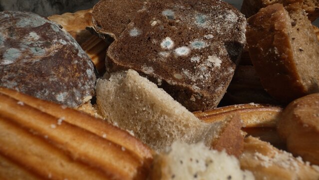 A batch of baked goods has gone to waste due to mould