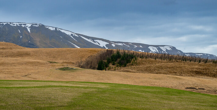 Iceland icelandic nature landscape with green grass fields, dry hills, and distant snow capped mountains under a cloudy sky