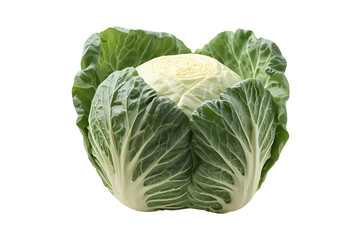 Fototapeta premium Fresh green cabbage head