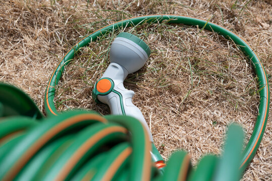 Dried-up, sunburnt grass which has turned yellow from a lack of water, with green hose pipe with grey watering nozzle laying on the ground. The resulting condition of a British garden lawn due to the 