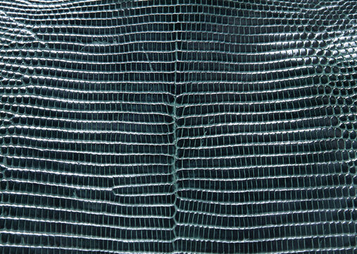 Green Lizard Skin Texture Macro Background
