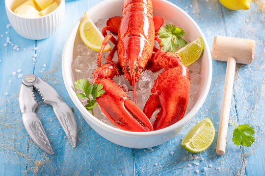 Boiled and spicy lobster served with citrus and butter.