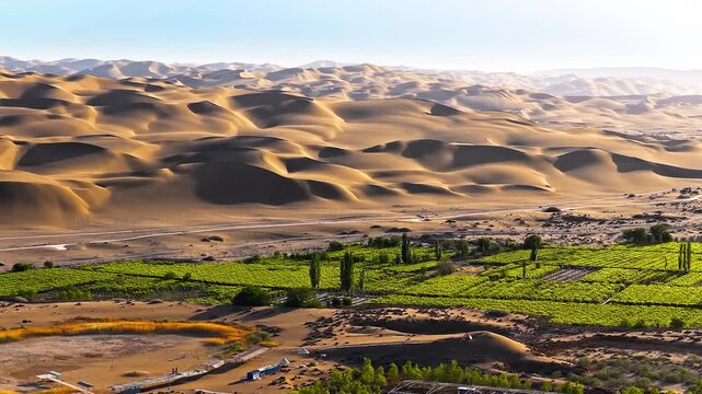 Sunlit dunes of Kumtag Desert surround a green vineyard oasis in Xinjiang, China, highlighting desert agriculture, rural tourism, and the contrast between arid terrain and cultivation.