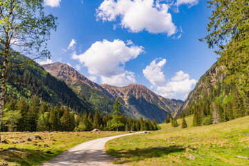 Obraz premium Breathtaking summer day in wild mountain with coniferous forest trail. Mountain landscape trail. Road in mountainous landscape with cloudy sky. Scenic green hill mountain