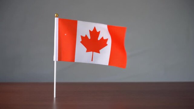 Small Canada Flag Waving on Wooden Table Desk Stand Isolated on Grey Background