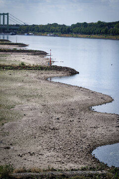 Severe drought and low water level of the Rhine River in Cologne showing exposed groynes and Rodenkirchen Bridge