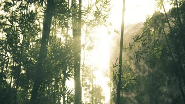 Towering bamboo forming cathedrallike corridor with single sunbeam piercing mist, dramatic shadow play and towering scale for cinematic landscape imagery.