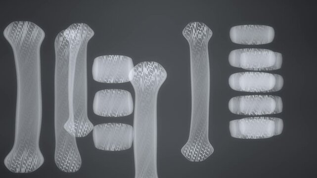 Abstract X-Ray Bone Structure Slowly Rotating With Trabecular Detail, Seamless Loop Medical Background in subtle black tones