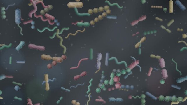 Gut microbiome bacteria ecosystem rod coccus and spiral microbes dividing in mucus seamless loop in vibrant slate tones