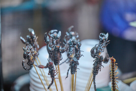 scorpions on a stick