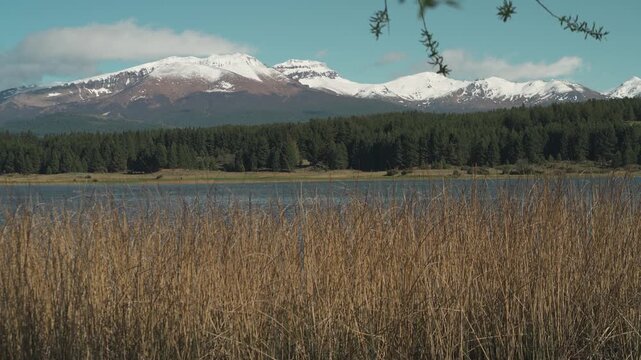 Man wearing a yellow jacket walking along the grassy, reed-lined shore of Laguna La Zeta with a mountain backdrop, Esquel, Chubut, Argentina.