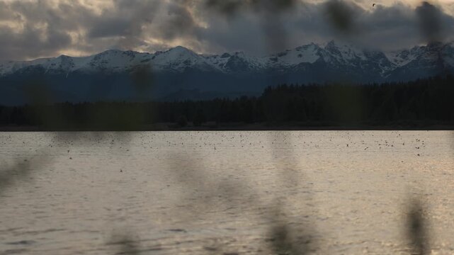 Flock of birds flying low over the rippling water of Laguna La Zeta, with dramatic cloudy skies and snow-covered mountains in the background, Esquel, Argentina.