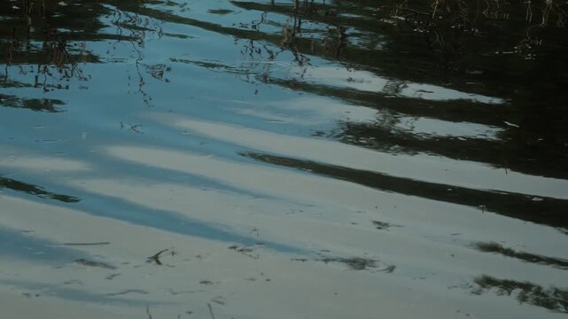 Abstract ripples and light reflections on calm pond water surface